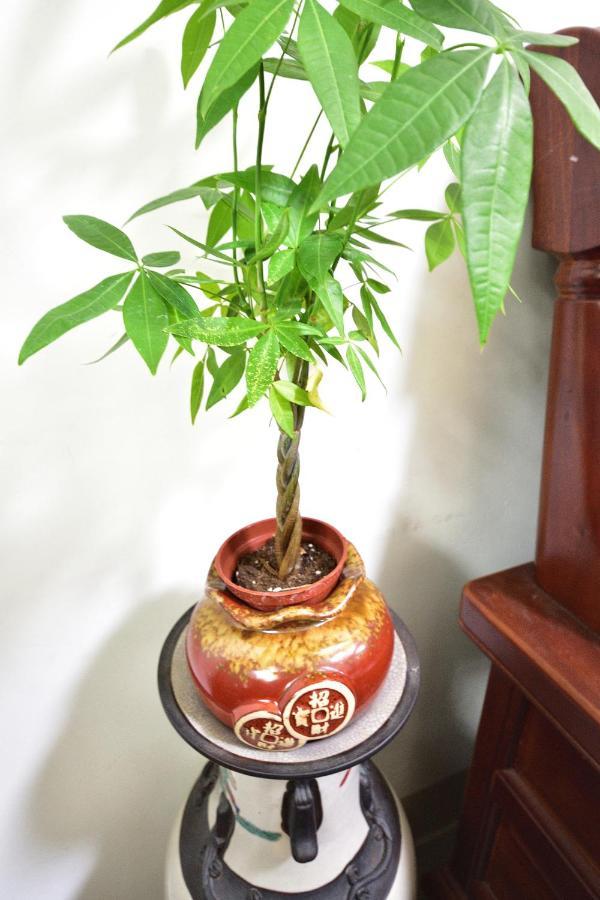 Fengru B&B Taitung Luaran gambar